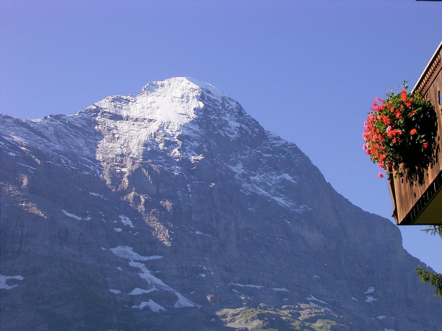Hotel Bellary Grindelwald Exterior foto